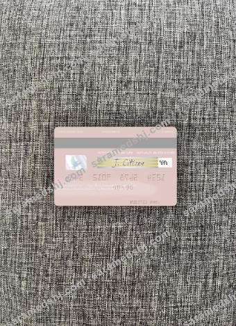 Kazakhstan Kaspi Bank visa debit card photolook back